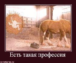 Шампунь натура сиберика отзывы